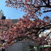 ヒメ日記 2025/03/18 17:41 投稿 橘ゆうこ HANABI(福富町)