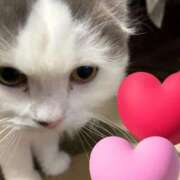 ヒメ日記 2025/03/27 16:57 投稿 橘ゆうこ HANABI(福富町)