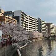 ヒメ日記 2025/03/28 16:52 投稿 橘ゆうこ HANABI(福富町)