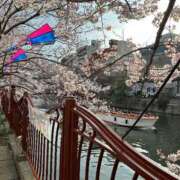 ヒメ日記 2025/04/03 17:25 投稿 橘ゆうこ HANABI(福富町)