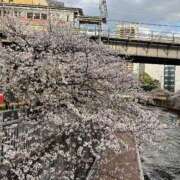 ヒメ日記 2025/04/10 16:37 投稿 橘ゆうこ HANABI(福富町)