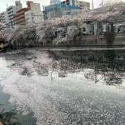 ヒメ日記 2025/04/11 17:22 投稿 橘ゆうこ HANABI(福富町)