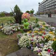 ヒメ日記 2025/04/29 17:29 投稿 橘ゆうこ HANABI(福富町)