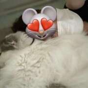 ヒメ日記 2025/06/05 16:33 投稿 橘ゆうこ HANABI(福富町)