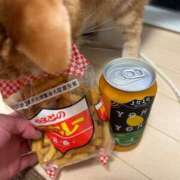 ヒメ日記 2025/06/19 17:10 投稿 橘ゆうこ HANABI(福富町)