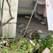 ヒメ日記 2025/08/01 17:40 投稿 橘ゆうこ HANABI(福富町)