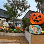 ヒメ日記 2025/10/31 18:08 投稿 橘ゆうこ HANABI(福富町)