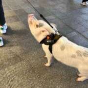 ヒメ日記 2025/11/06 17:04 投稿 橘ゆうこ HANABI(福富町)