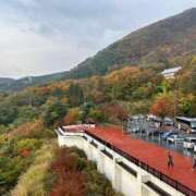 ヒメ日記 2025/11/14 17:18 投稿 橘ゆうこ HANABI(福富町)