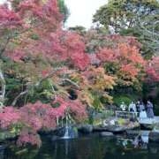ヒメ日記 2025/11/27 16:52 投稿 橘ゆうこ HANABI(福富町)