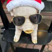 ヒメ日記 2025/12/18 16:09 投稿 橘ゆうこ HANABI(福富町)