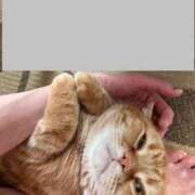 ヒメ日記 2026/02/13 17:16 投稿 橘ゆうこ HANABI(福富町)