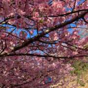 ヒメ日記 2026/02/17 18:54 投稿 橘ゆうこ HANABI(福富町)