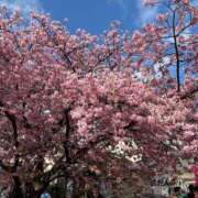 橘ゆうこ こんにちは HANABI(福富町)