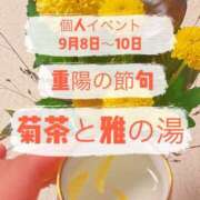 ヒメ日記 2024/09/06 23:23 投稿 よしこ 神戸人妻花壇