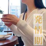 ヒメ日記 2025/01/06 15:03 投稿 よしこ 神戸人妻花壇