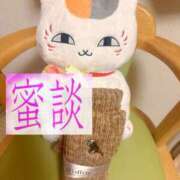 ヒメ日記 2025/02/06 23:55 投稿 よしこ 神戸人妻花壇