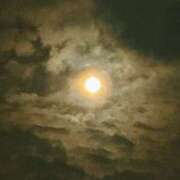 ヒメ日記 2025/06/12 10:33 投稿 よしこ 神戸人妻花壇