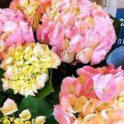 ヒメ日記 2025/06/15 13:47 投稿 よしこ 神戸人妻花壇