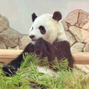 ヒメ日記 2025/06/28 07:42 投稿 よしこ 神戸人妻花壇