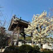 ヒメ日記 2026/03/23 16:15 投稿 よしこ 神戸人妻花壇