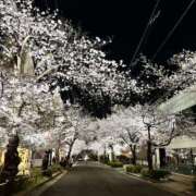 ヒメ日記 2026/04/03 14:10 投稿 よしこ 神戸人妻花壇