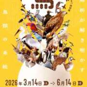 ヒメ日記 2026/05/30 10:38 投稿 よしこ 神戸人妻花壇