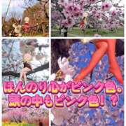 ヒメ日記 2025/02/09 08:21 投稿 よしこ 阪神人妻花壇