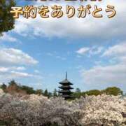 ヒメ日記 2025/02/15 13:23 投稿 よしこ 阪神人妻花壇