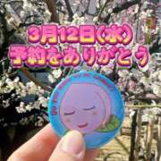 ヒメ日記 2025/03/11 22:19 投稿 よしこ 阪神人妻花壇