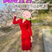 ヒメ日記 2025/04/15 01:15 投稿 よしこ 阪神人妻花壇