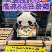 ヒメ日記 2025/04/17 19:16 投稿 よしこ 阪神人妻花壇