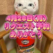 ヒメ日記 2025/04/23 19:16 投稿 よしこ 阪神人妻花壇