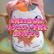 ヒメ日記 2025/06/14 19:57 投稿 よしこ 阪神人妻花壇