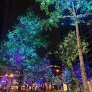 ヒメ日記 2025/06/24 17:00 投稿 よしこ 阪神人妻花壇