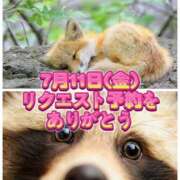 ヒメ日記 2025/06/26 19:25 投稿 よしこ 阪神人妻花壇