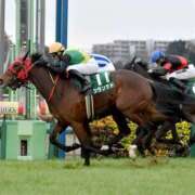 ヒメ日記 2025/09/01 13:54 投稿 よしこ 阪神人妻花壇