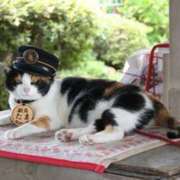 ヒメ日記 2025/12/15 14:05 投稿 よしこ 阪神人妻花壇