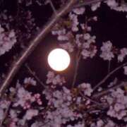 ヒメ日記 2026/04/02 11:21 投稿 よしこ 阪神人妻花壇