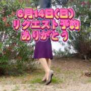 ヒメ日記 2026/06/05 23:55 投稿 よしこ 阪神人妻花壇