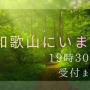 ヒメ日記 2026/06/12 16:17 投稿 よしこ 阪神人妻花壇
