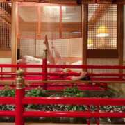 ヒメ日記 2026/06/15 09:49 投稿 よしこ 阪神人妻花壇