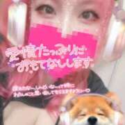 ヒメ日記 2025/03/29 11:58 投稿 あん 甲府人妻隊