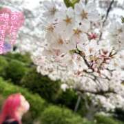 ヒメ日記 2025/04/10 18:55 投稿 あん 甲府人妻隊