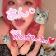 ヒメ日記 2025/07/14 09:16 投稿 あん 甲府人妻隊