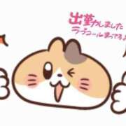 ヒメ日記 2025/04/25 10:44 投稿 まい 熟女の風俗最終章 仙台店