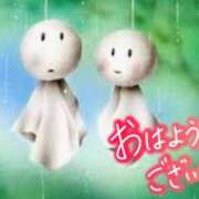 ヒメ日記 2025/05/31 06:54 投稿 まい 熟女の風俗最終章 仙台店