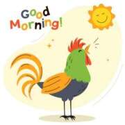 ヒメ日記 2025/06/19 04:44 投稿 まい 熟女の風俗最終章 仙台店