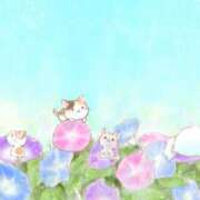 ヒメ日記 2025/06/20 06:34 投稿 まい 熟女の風俗最終章 仙台店