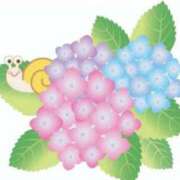 ヒメ日記 2025/06/24 10:49 投稿 まい 熟女の風俗最終章 仙台店